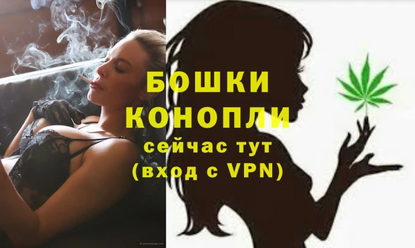 гидра Богородск