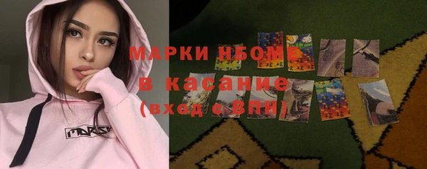 гидра Богородск