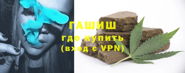 гидра Богородск