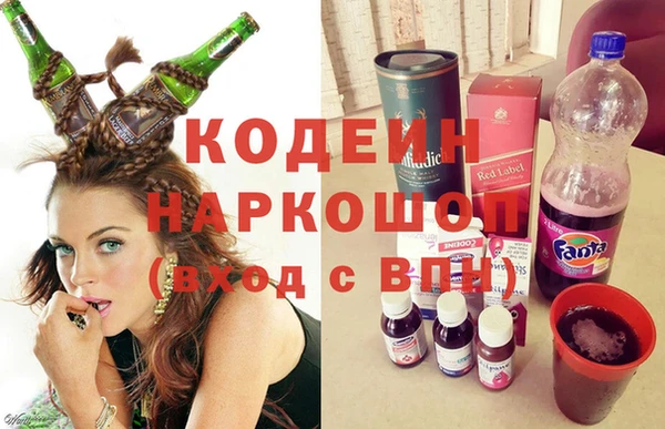 гидра Богородск
