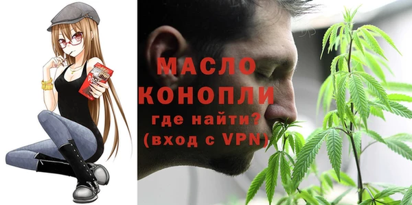 гидра Богородск