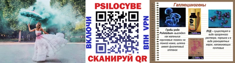 Псилоцибиновые грибы мицелий  закладка  Котельнич 